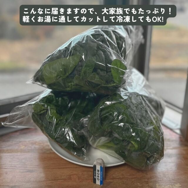 ほうれん草