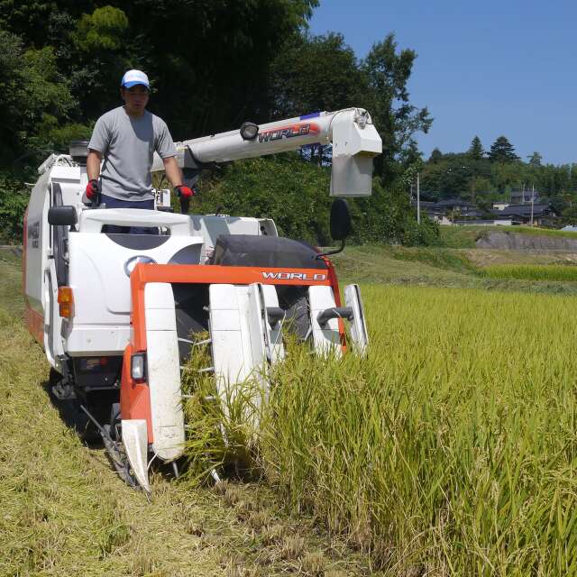 こぴっと米