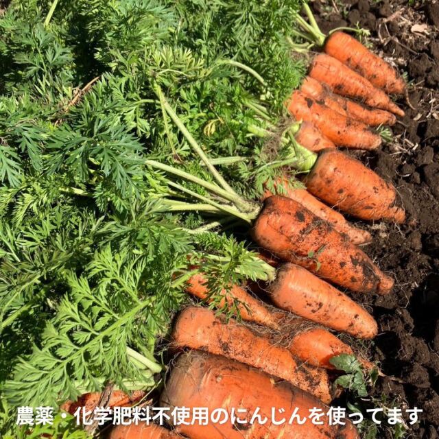 無添加ストレートジュース にんじんのとりこ 200mL 長野県富士見町産