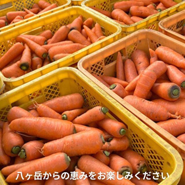 無添加ストレートジュース にんじんのとりこ 200mL 長野県富士見町産