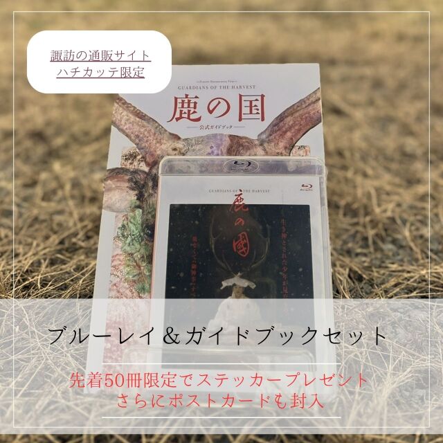 平安 名人 諏訪蘇山 造 青磁 酒盃 ぐい呑 酒器 共箱付 波佐見焼】鳥獣戯画 蕎麦猪口 そばちょこ ペアセット 食器 皿 【洸琳窯