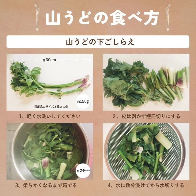 ヤマウド