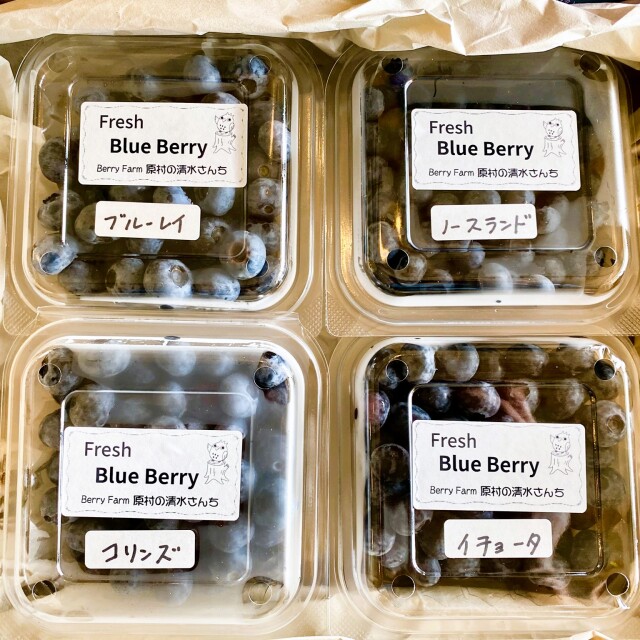 ブルーベリー