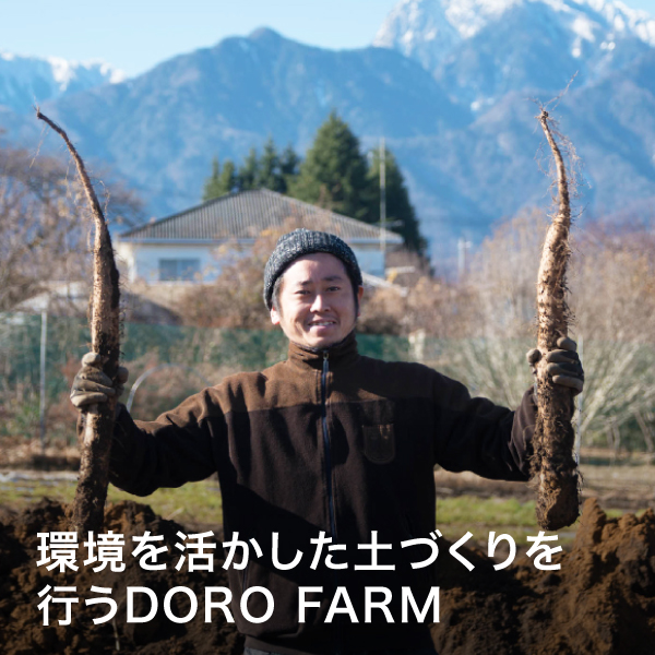 DOROFARM長芋5kg