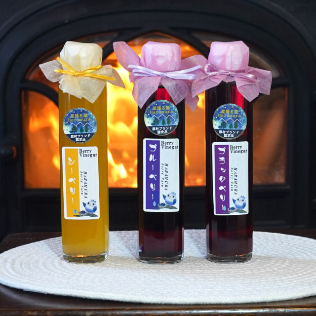 冷蔵】富士見町特産 赤いルバーブ 1kg