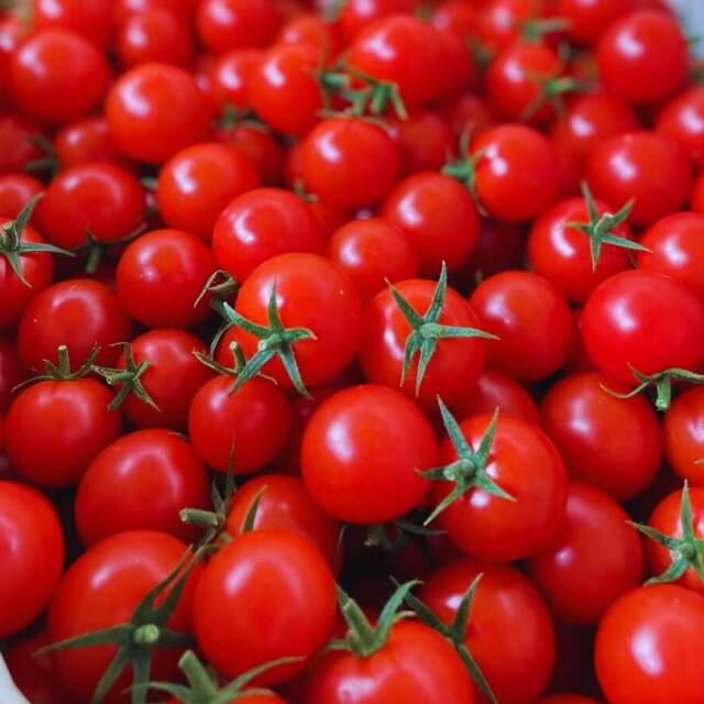 原村 きよみず農園 八ヶ岳 ミニトマト ストレートジュース 720mL 3種