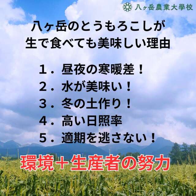 八農もろこし