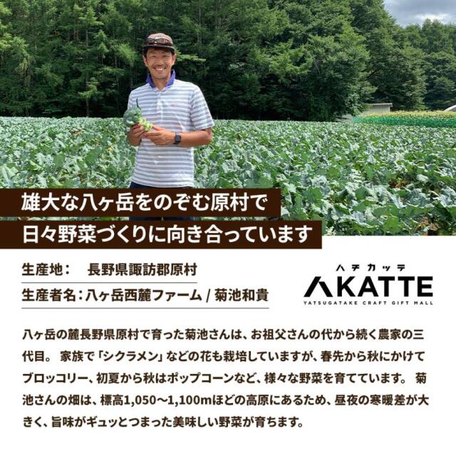 ポップコーン