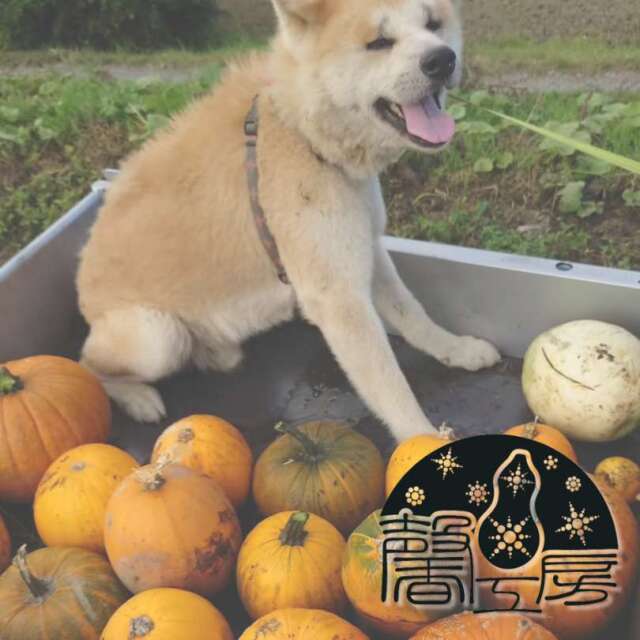 ルバセット