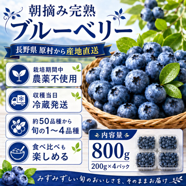 公式通販サイト】国産 朝摘み 完熟 生 ブルーベリー 800g |Berry Farm