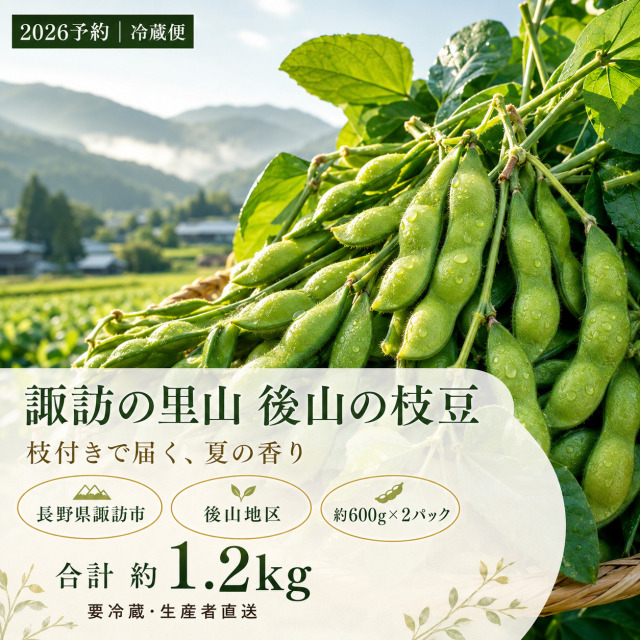 枝豆