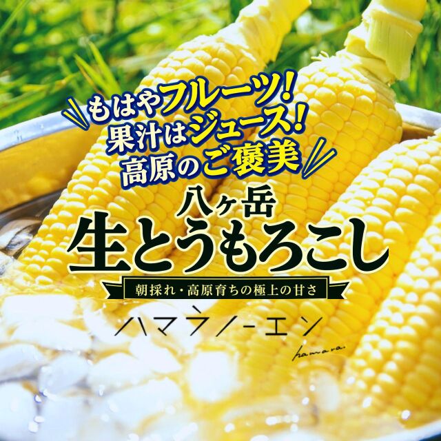 とうもろこし
