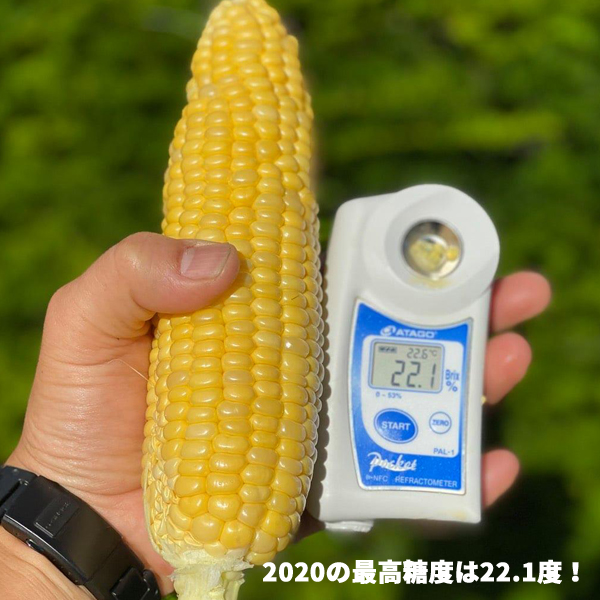 ハマラファーム