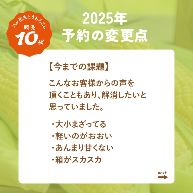 八ヶ岳生とうもろこし2025