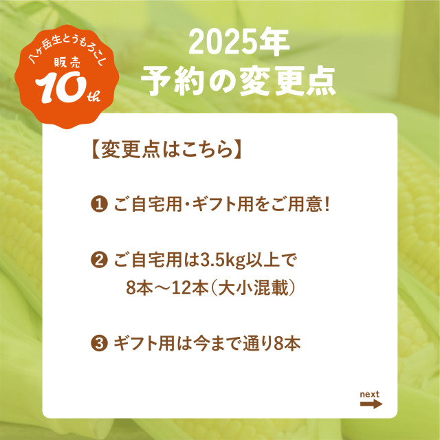八ヶ岳生とうもろこし2025