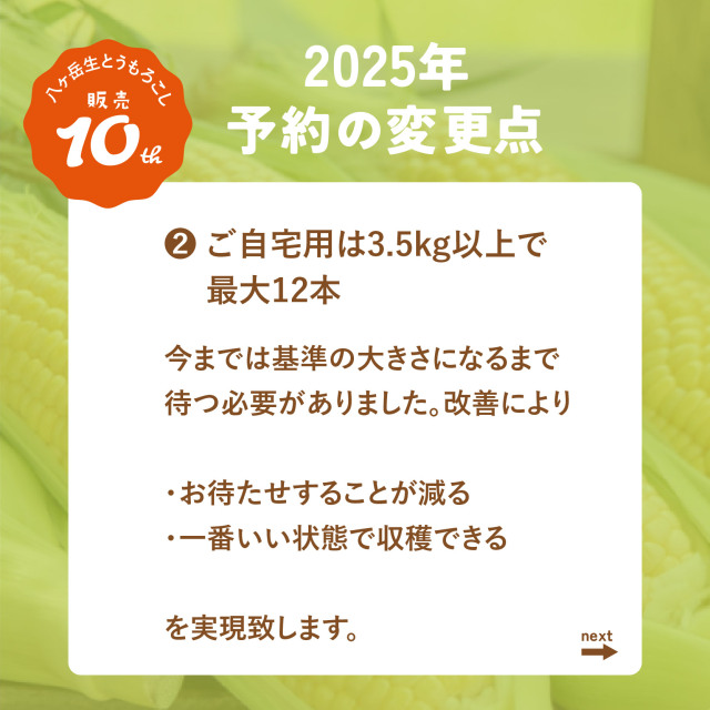 八ヶ岳生とうもろこし2025
