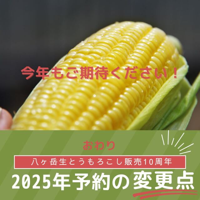 2025年生とうもろこし