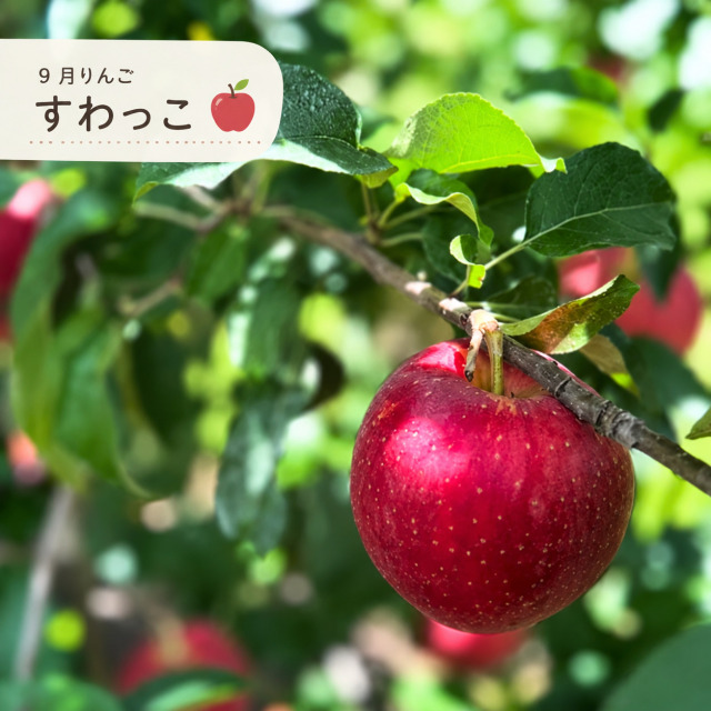 りんご