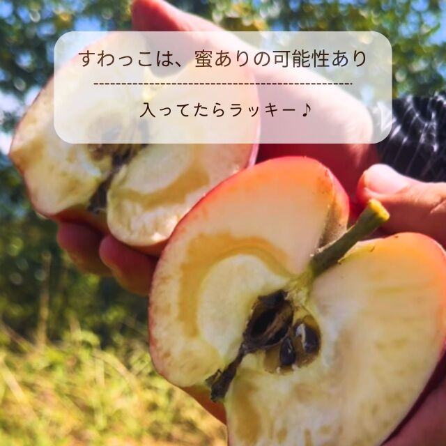 りんご