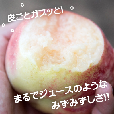 通販サイト】山梨の桃 2026年 朝採れ 桃源郷 韮崎市 新府 ピーチ お