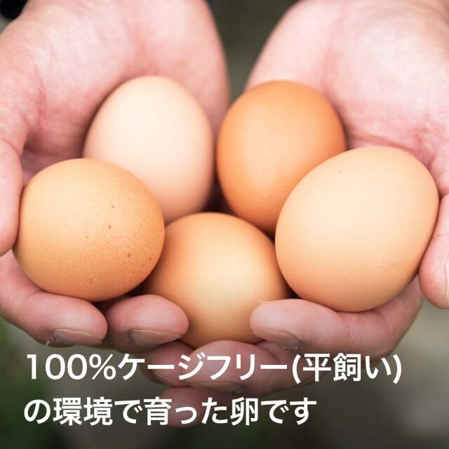 卵ページ 24種のハーブ育ち コクうまみたまご 赤玉6個|有機野菜 通販