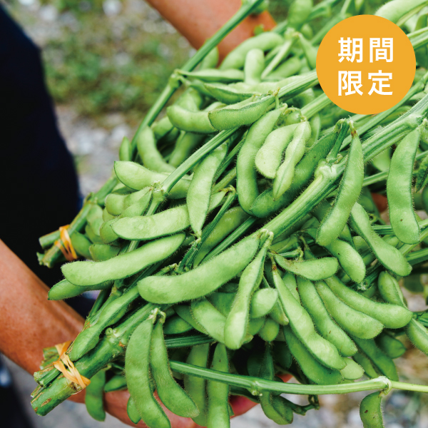 八ヶ岳の通販 | 夏の八ヶ岳野菜 | ハチカッテ