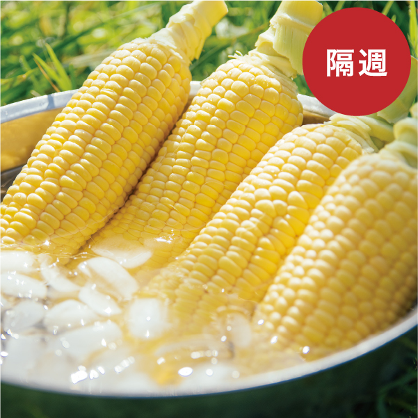 【3回・隔週お届け：2025：予約完売】 朝採れ 元祖 メロンより甘い 八ヶ岳生とうもろこし 3.5kg以上 8〜12本
