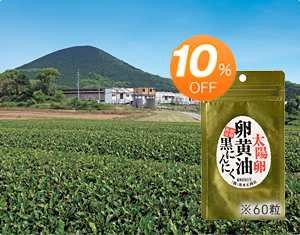 送料込み「太陽卵卵黄油黒にんにく」10％オフ！定期購入コース