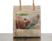 ねこ・猫・ネコ -cat-