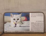 ねこ・猫・ネコ -cat-