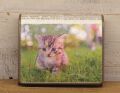 《猫三昧》 リサイクルペーパー＆牛革 BOX３折財布 S08