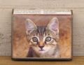 《猫三昧》 リサイクルペーパー＆牛革 BOX３折財布 S09