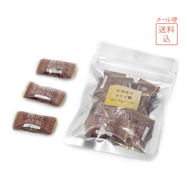 【送料込】柿渋のど飴（ゆず）10粒入×4袋入 クリックポスト便