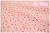 ミニミニチェリー　ピンク　AT826444-A　（約110cm幅×50cm）