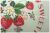 【A-two限定販売】　Fruit flower sticker　生成り×レッド　AT826801-4　（約110cm幅×50cm）