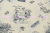 AT829948-C03.jpg