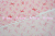 AT829958-C4.jpg