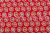 AT839005-E2.jpg