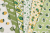 AT839058-C2.jpg