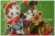 Riley Blake　Christmas Joys　Main　Green　C12250-G　（約110cm幅×50cm）