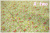 WINDHAM FABRICS　LITTLE RED RIDING HOOD　フラワー　グリーン　50302-3　（約110cm幅×50cm）