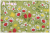 WINDHAM FABRICS　LITTLE RED RIDING HOOD　フラワー　グリーン　50302-3　（約110cm幅×50cm）