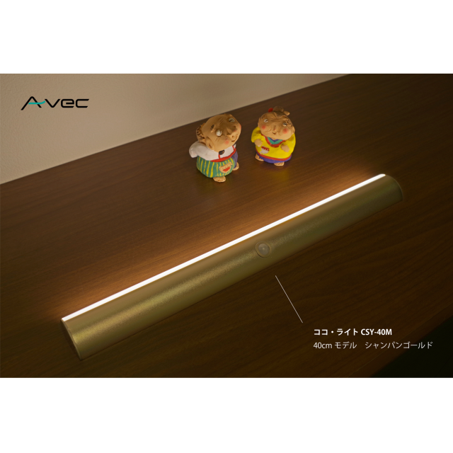 cocoLight40M_g_wh1250_08.png