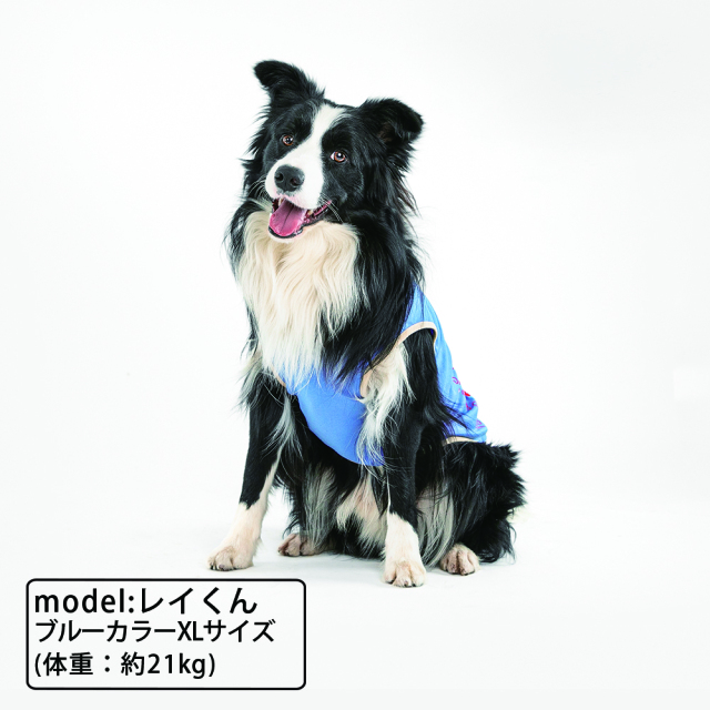 盲導犬サポートDOG Tシャツ ブルー
