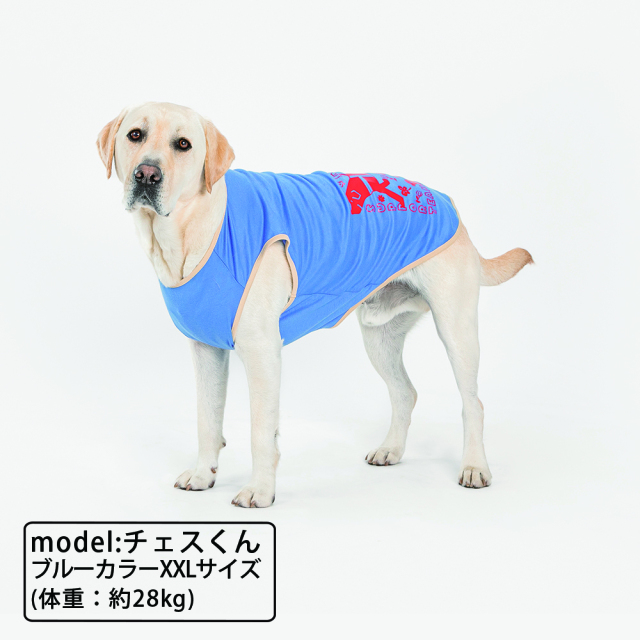盲導犬サポートDOG Tシャツ ブルー