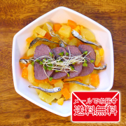 【獣医師が作ったごはんレシピ*高齢犬用*】えぞしか肉と煮干しのごはんレシピ