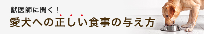 生肉の正しい与え方