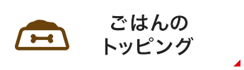 ごはんのトッピング