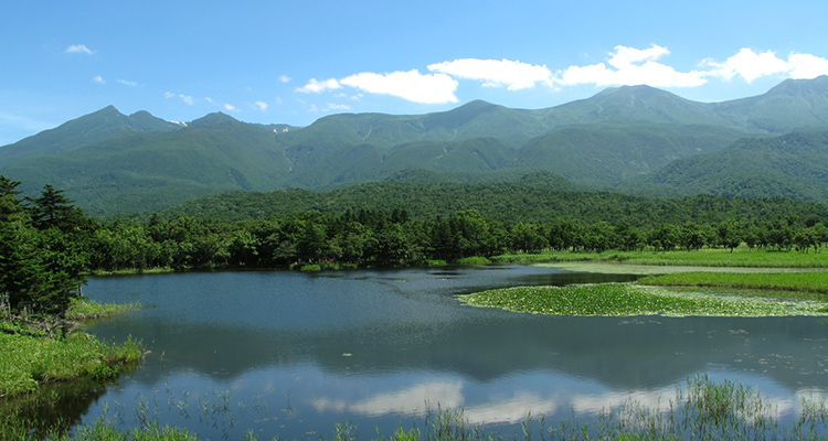 イメージ 北海道自然