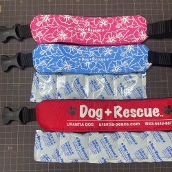 小型犬用バックルタイプ　クールネック　ＳＳ/Ｓ　レッドロゴ＆フラワーブルー/ フラワーピンク　